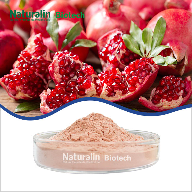 Pomegranate Powder Pomegranate Powder